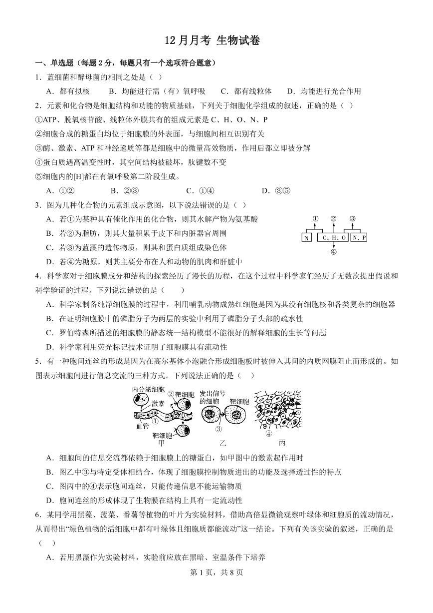 河南省2023_2024学年高一生物上学期12月月考试题pdf含解析