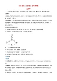 四川省绵阳市2023_2024学年高二生物上学期12月月考试题含解析
