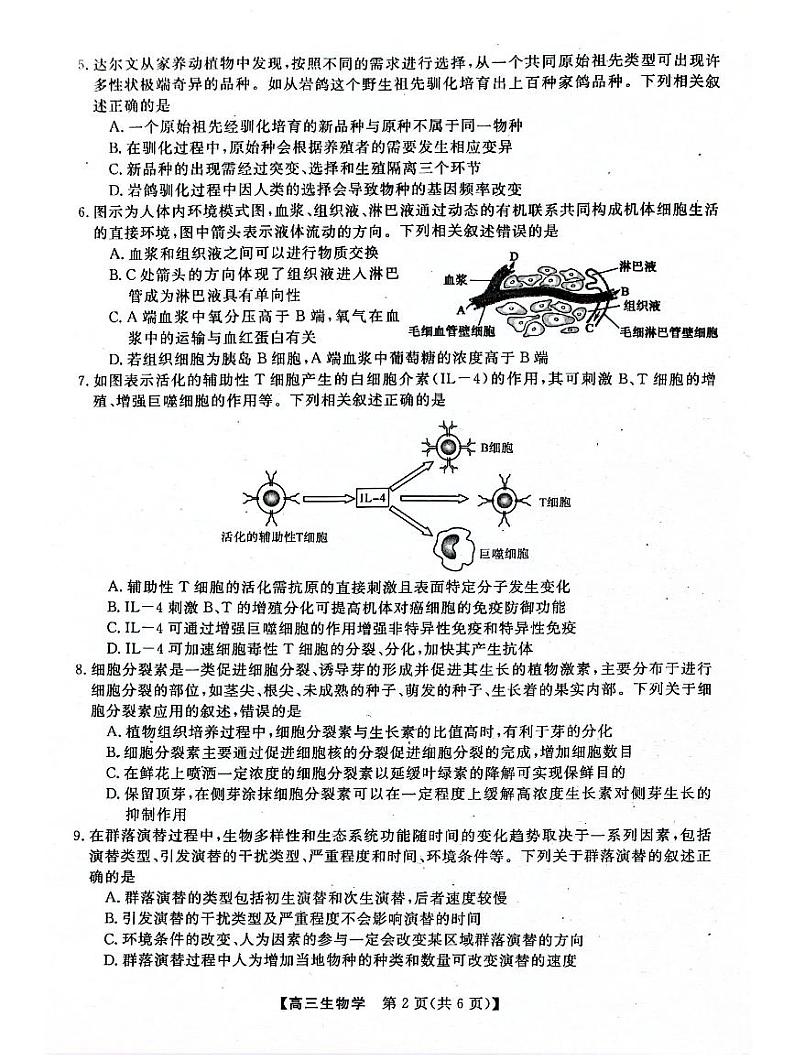 河池市2024年秋季学期高三上学期期末学业水平质量检测生物+答案第2页