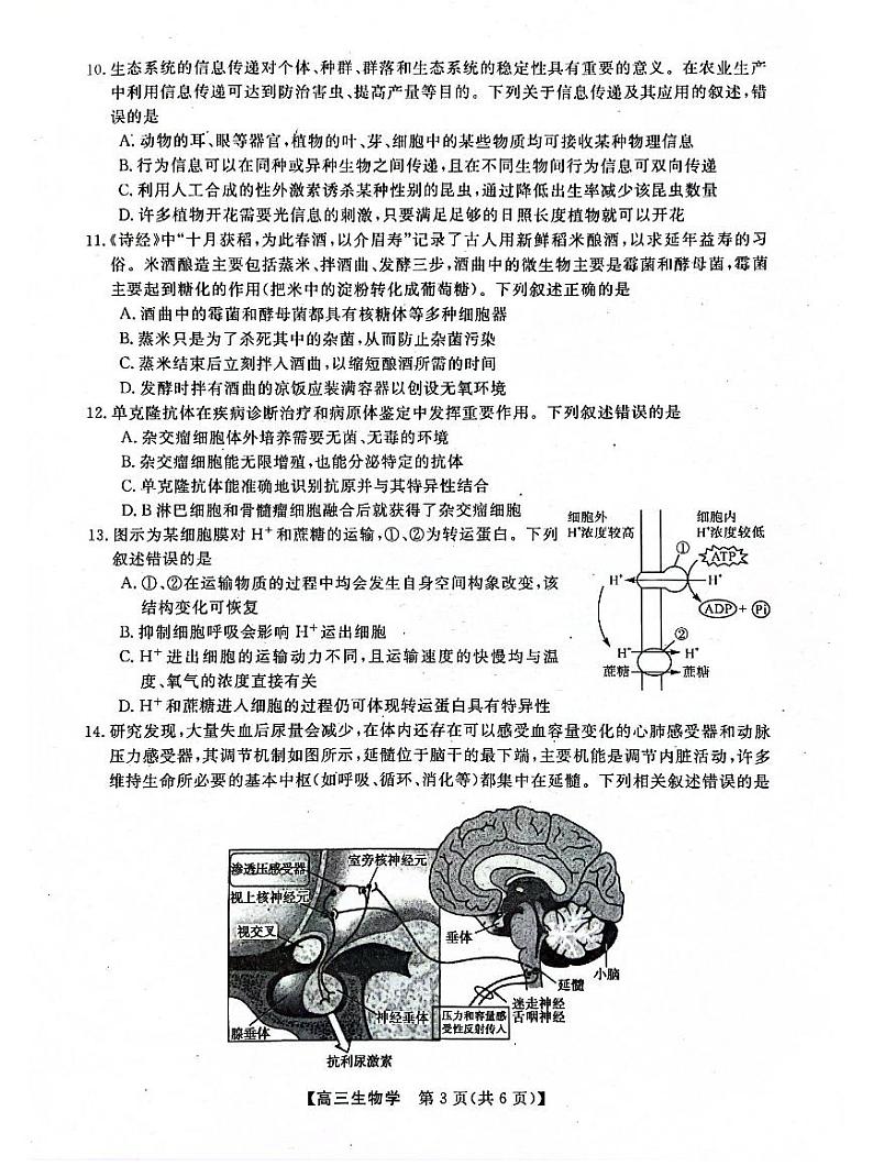 河池市2024年秋季学期高三上学期期末学业水平质量检测生物+答案第3页