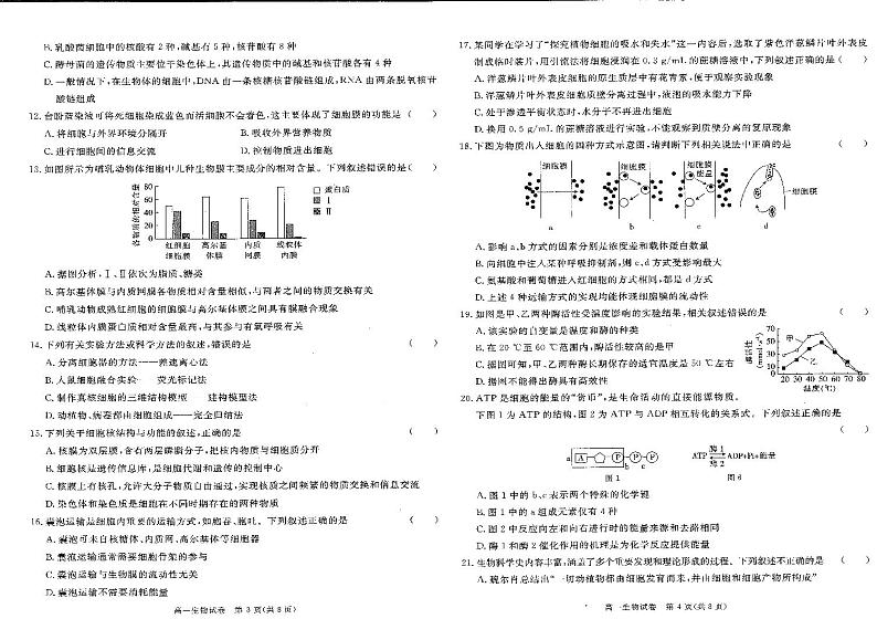 陕西省商洛市2024-2025学年高一上学期1月期末生物试题第2页