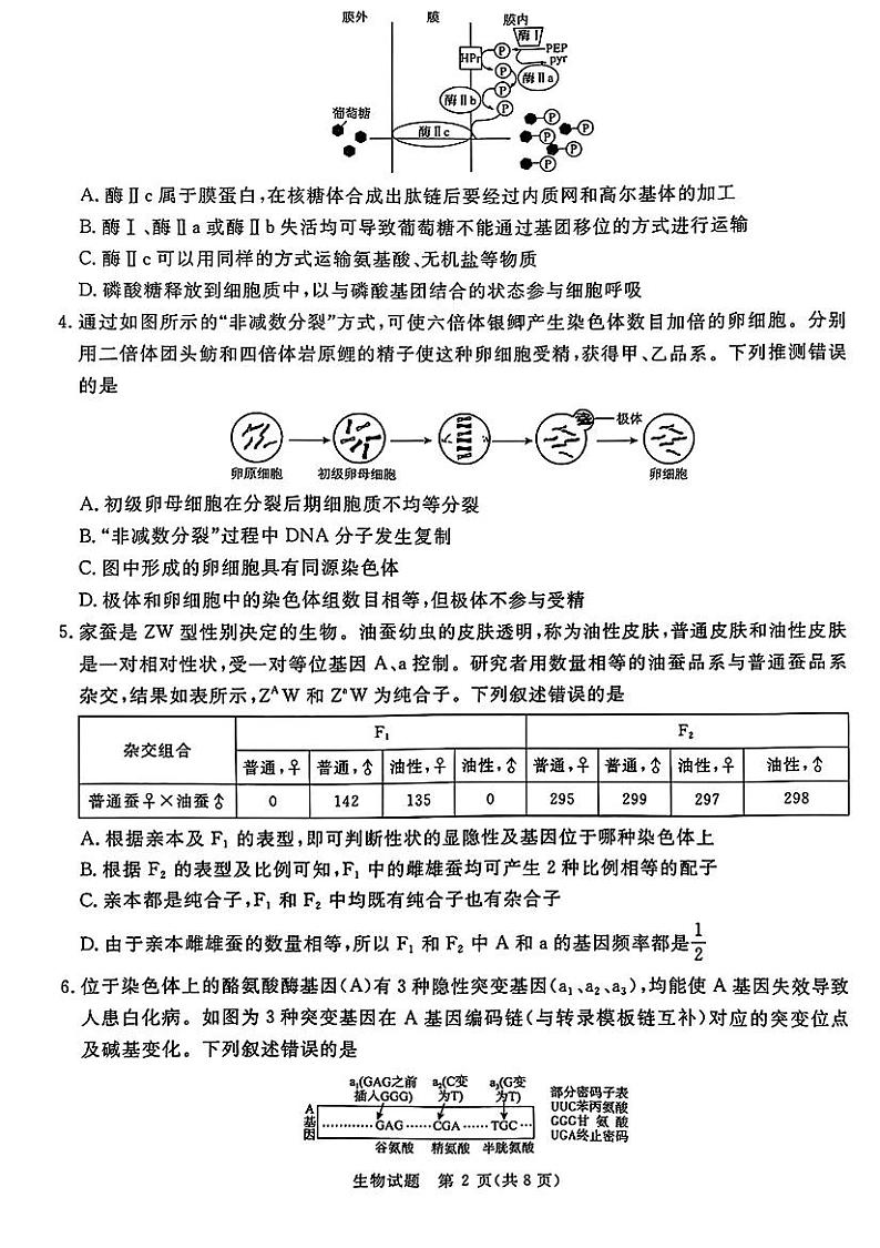 生物-河南青桐鸣五市2024-2025学年高三年级上学期期末联考试题第2页