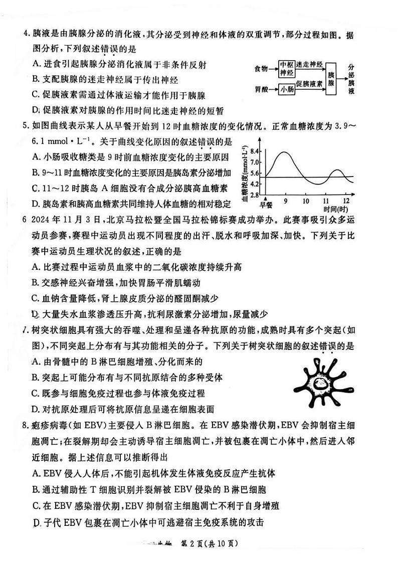 2025北京东城区高二上学期期末考试生物PDF版含答案第2页