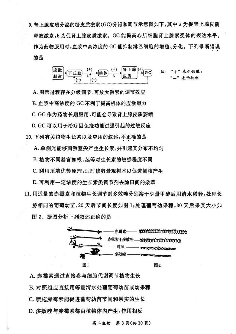 2025北京东城区高二上学期期末考试生物PDF版含答案第3页