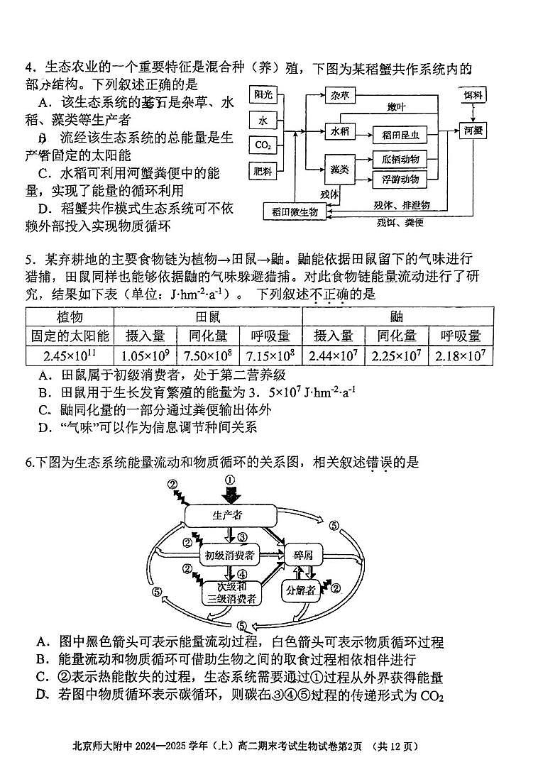 北京师范大学附属中学2024-2025学年高二上学期期末考试生物试题第2页