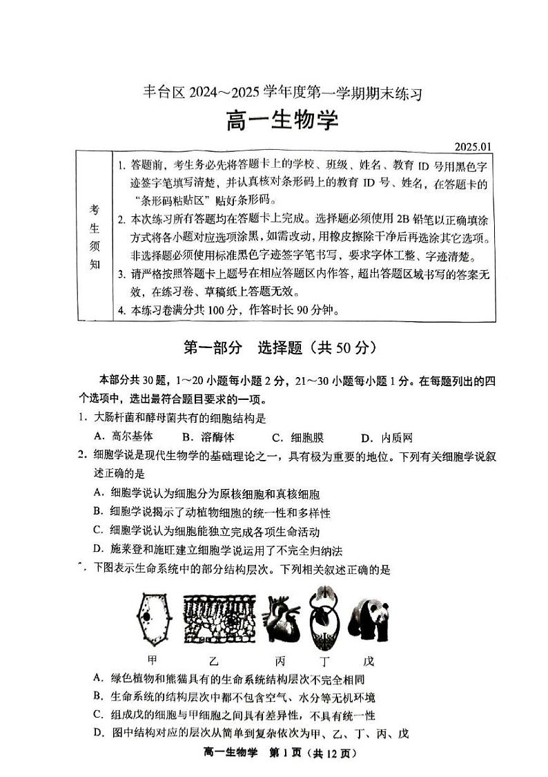北京市丰台区2024-2025学年高一上学期期末生物试题第1页