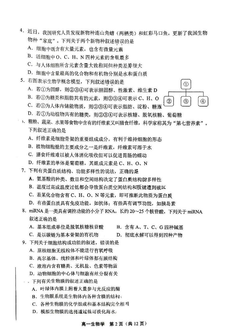 北京市丰台区2024-2025学年高一上学期期末生物试题第2页