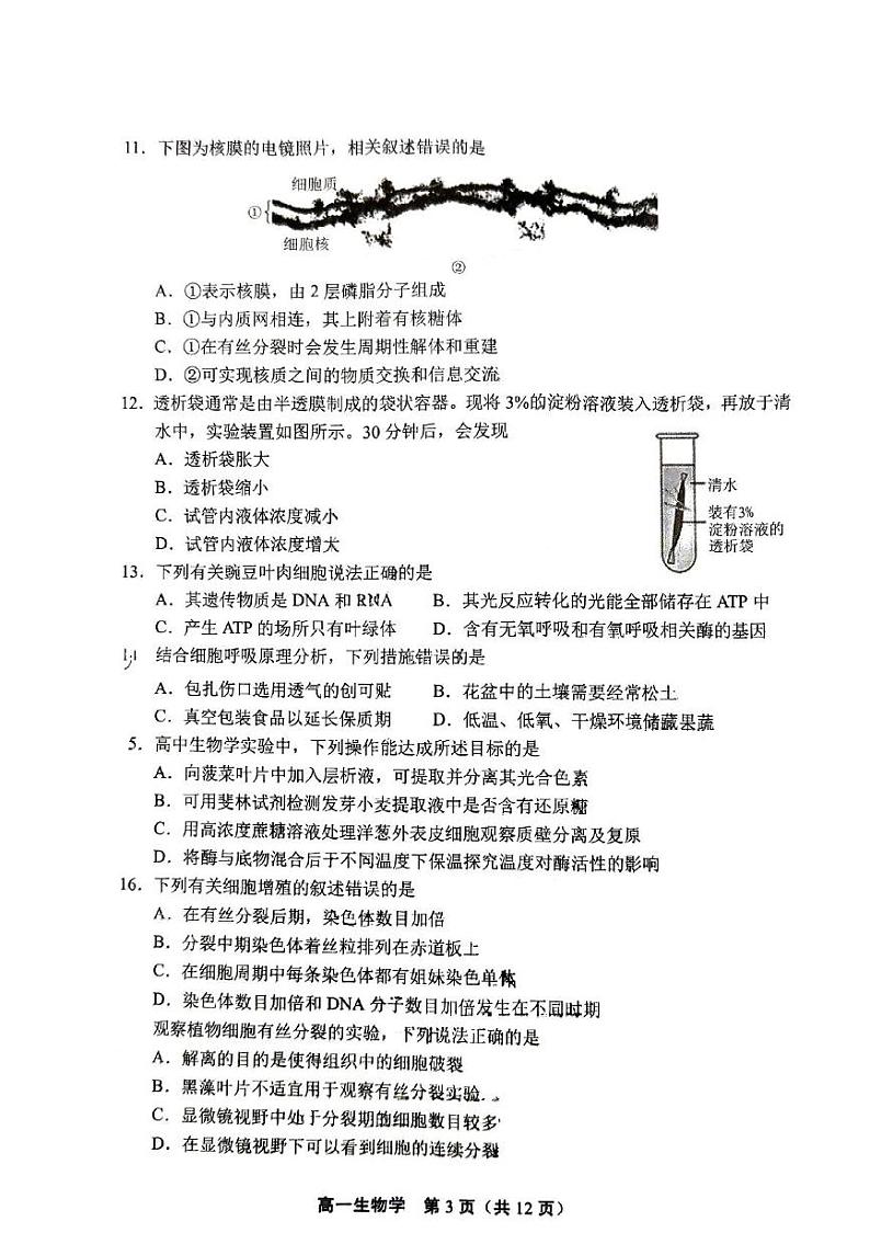 北京市丰台区2024-2025学年高一上学期期末生物试题第3页