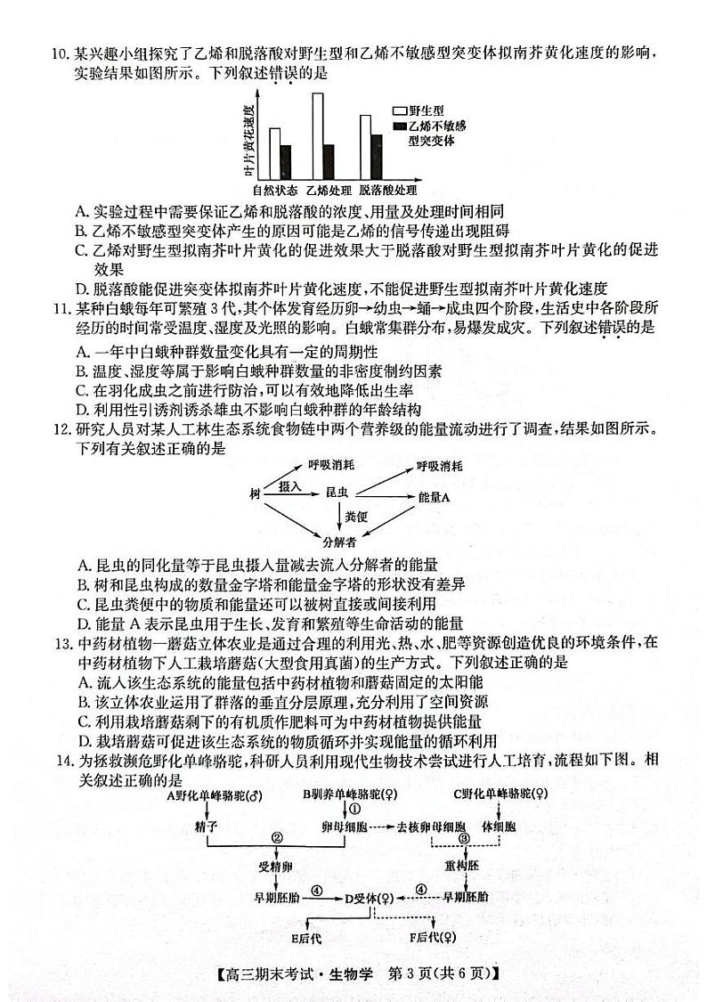 甘肃省酒泉市2024-2025学年高三上学期1月期末生物试题第3页
