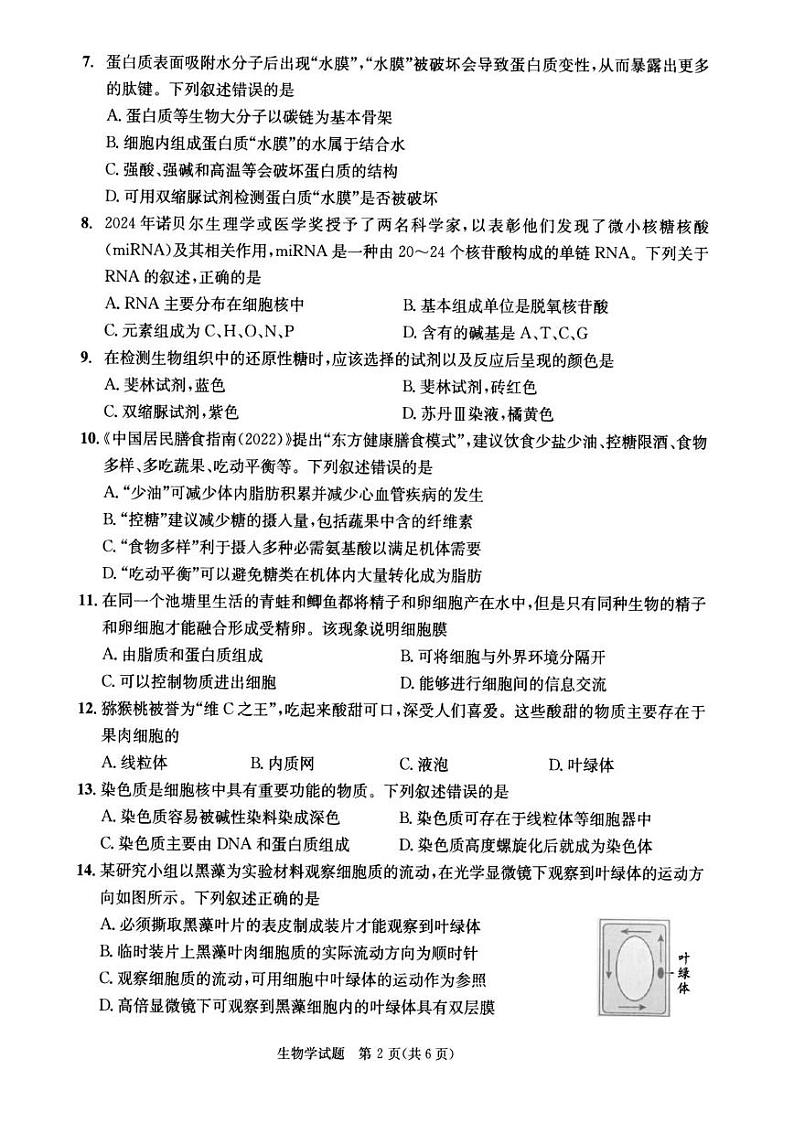 甘肃省张掖市某校2024-2025学年高一上学期期末考试生物试卷第2页