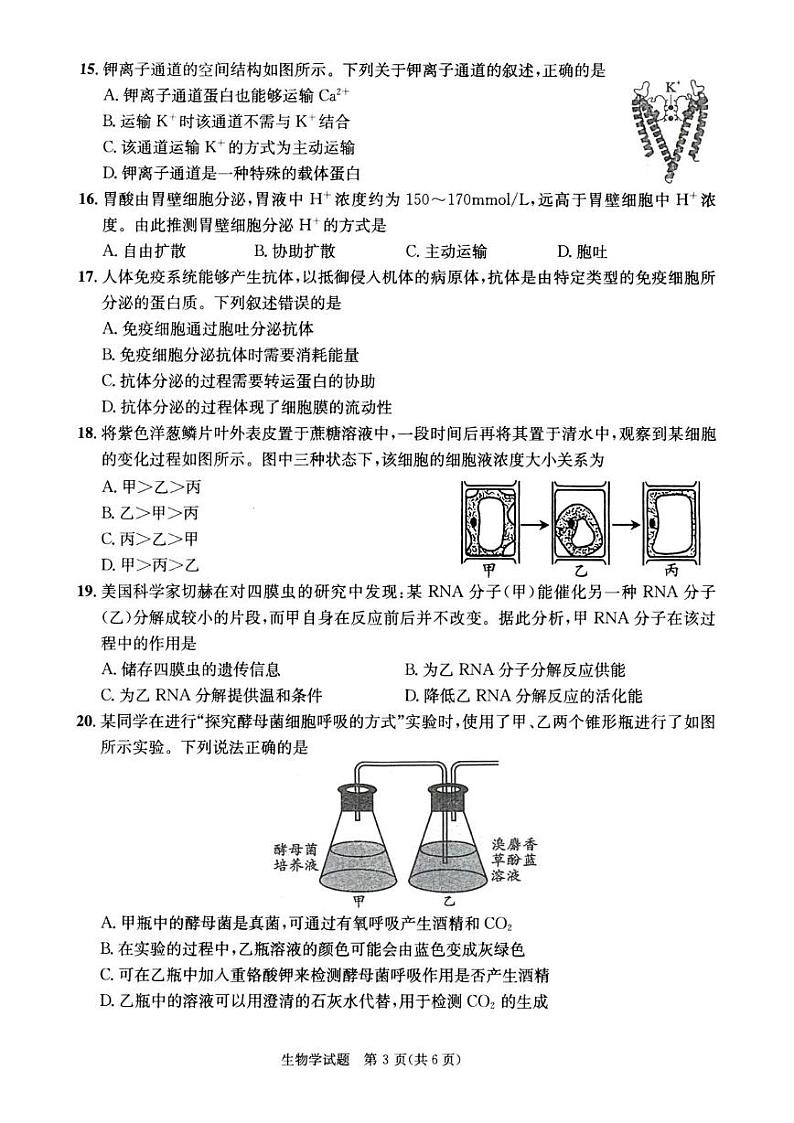 甘肃省张掖市某校2024-2025学年高一上学期期末考试生物试卷第3页