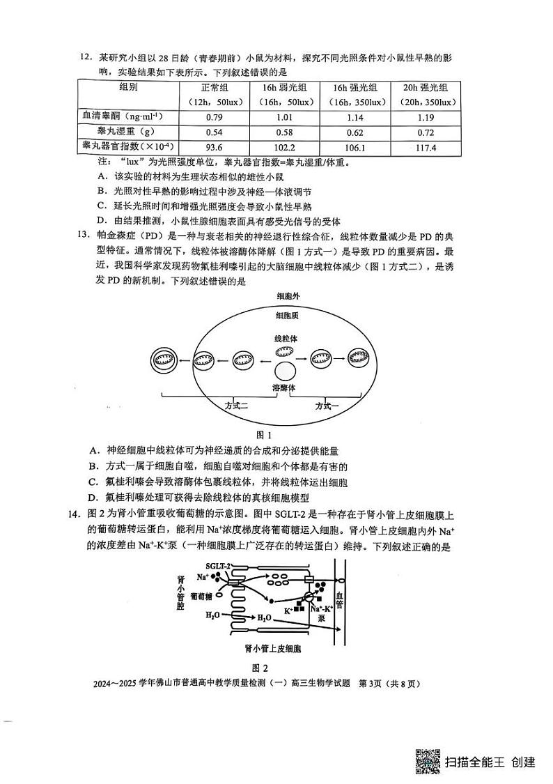 广东省佛山市2024-2025学年高三上学期期末教学质量检测(一)生物试题第3页