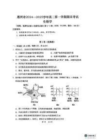 广东省惠州市2024-2025学年高二上学期期末考试生物试题