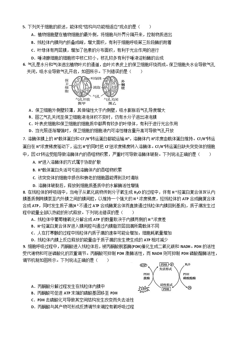 2025届四川省绵阳市南山中学高三9月考-生物第2页