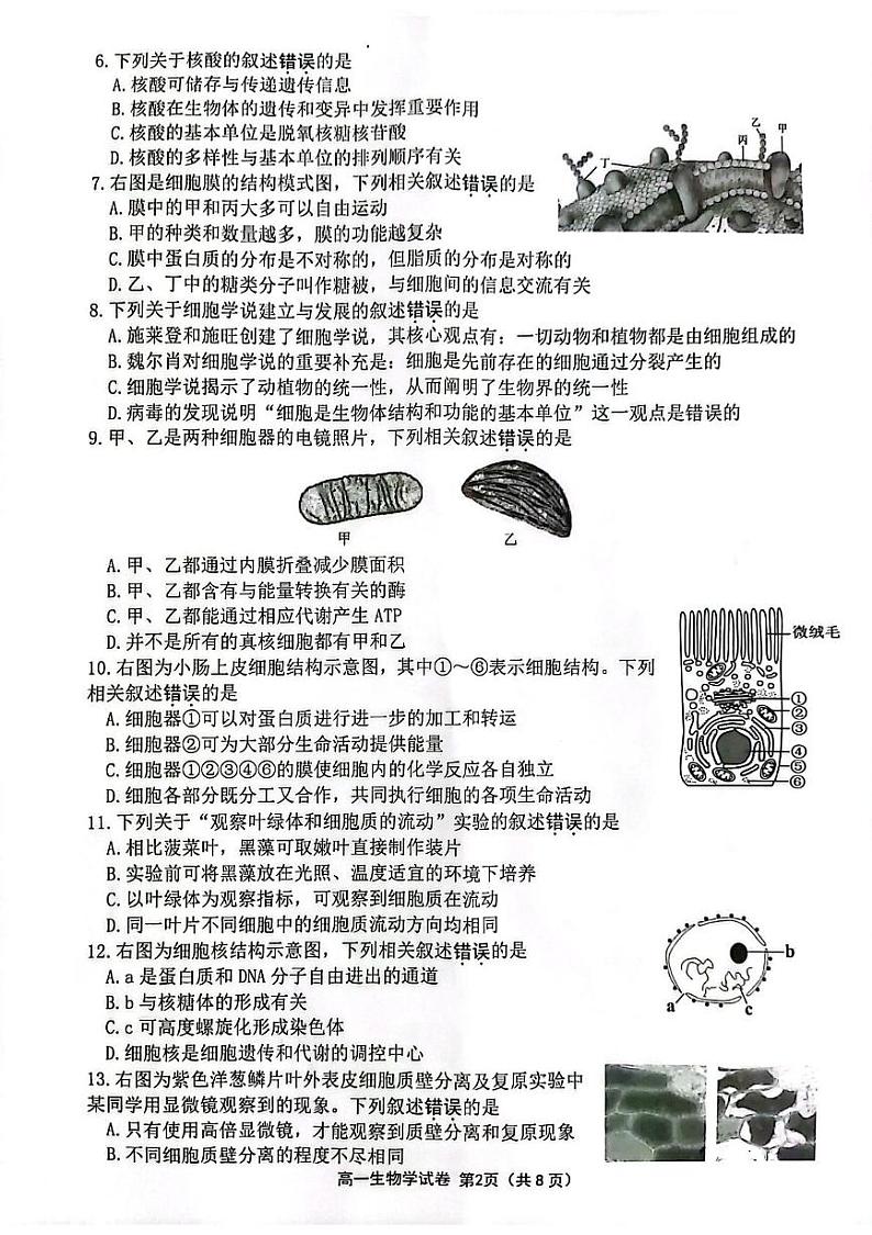 江苏省连云港市2024-2025学年高一上学期期末调研考试 生物 PDF版含答案第2页