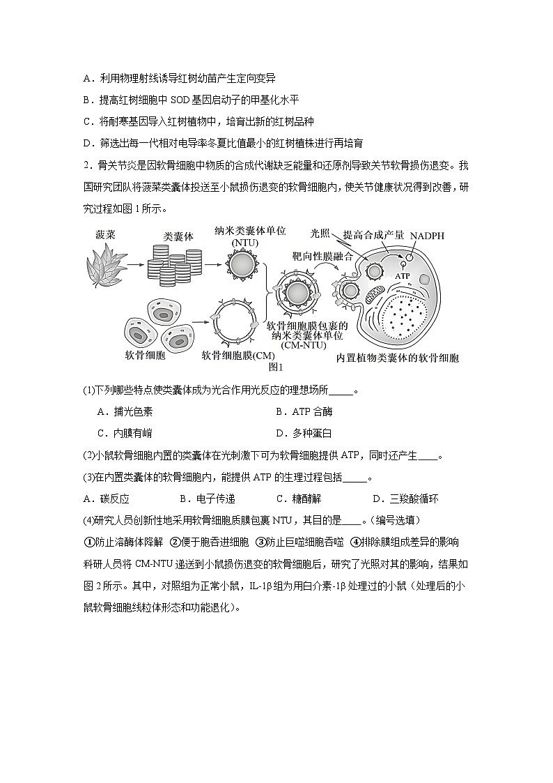 上海市黄浦区2024-2025学年高三上学期期终调研测试(一模)生物试题第3页