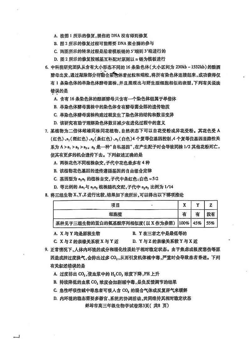 2025蚌埠高三上学期第一次教学质量检查考试(1月)生物PDF版含答案第3页