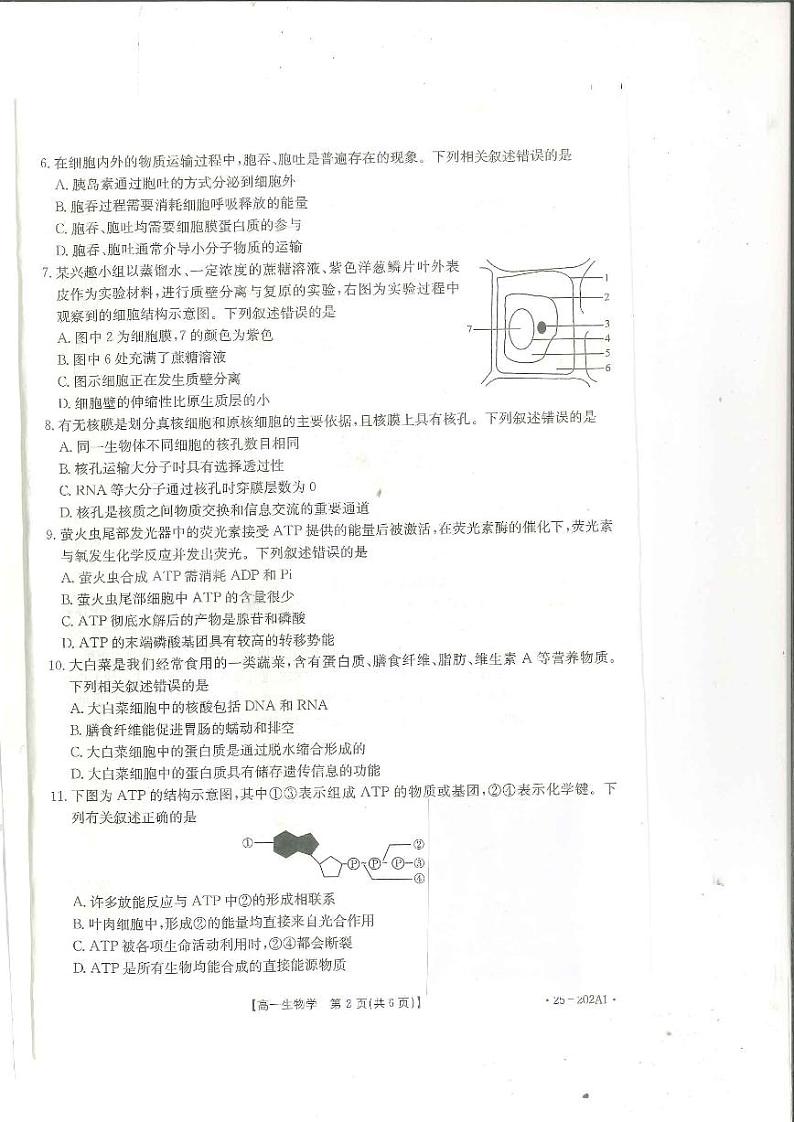 2025河南省部分学校高一上学期12月月考试题生物PDF版含解析第2页