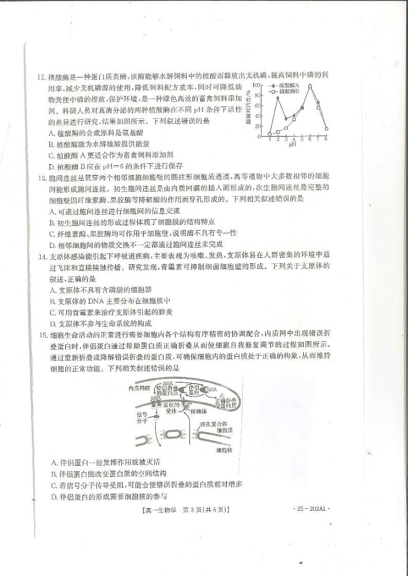 2025河南省部分学校高一上学期12月月考试题生物PDF版含解析第3页