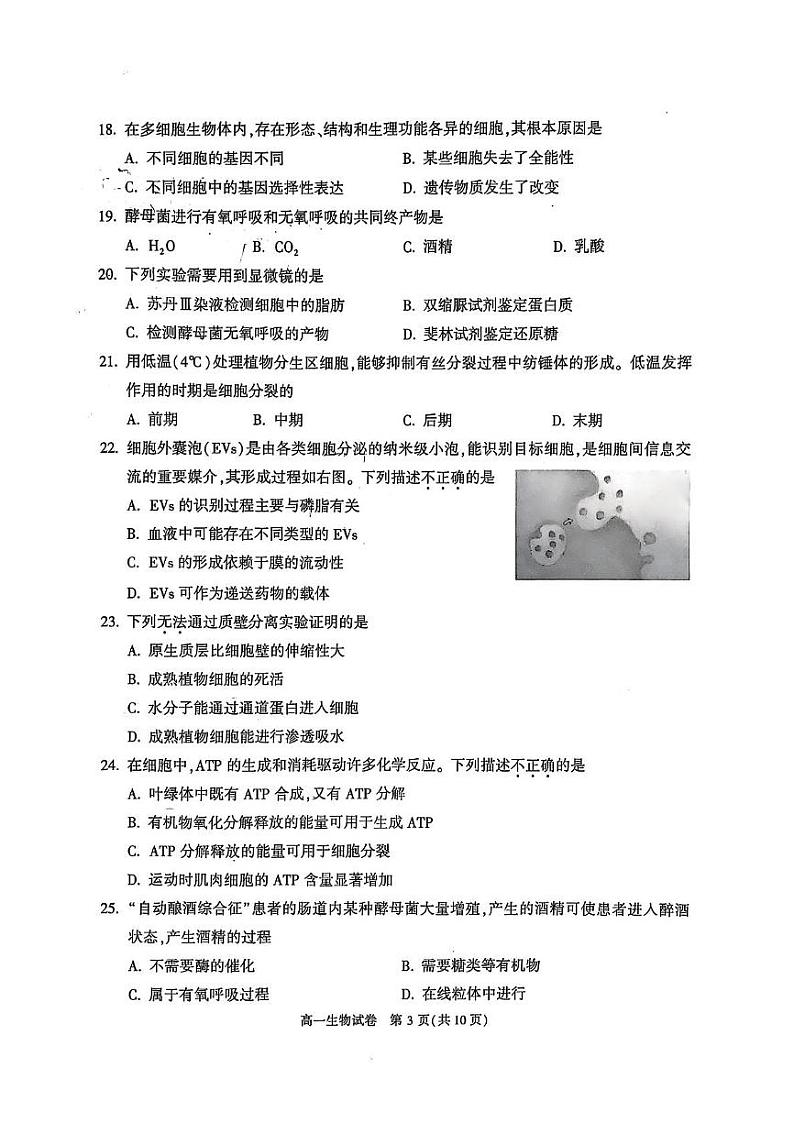 北京市顺义区2024-2025学年高一上学期1月期末生物试题第3页