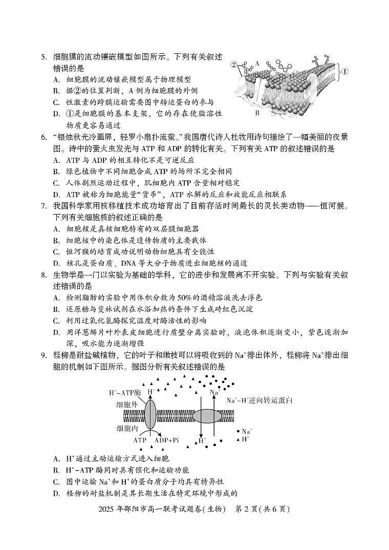 湖南省邵阳市2024-2025学年高一上学期期末生物试题第2页