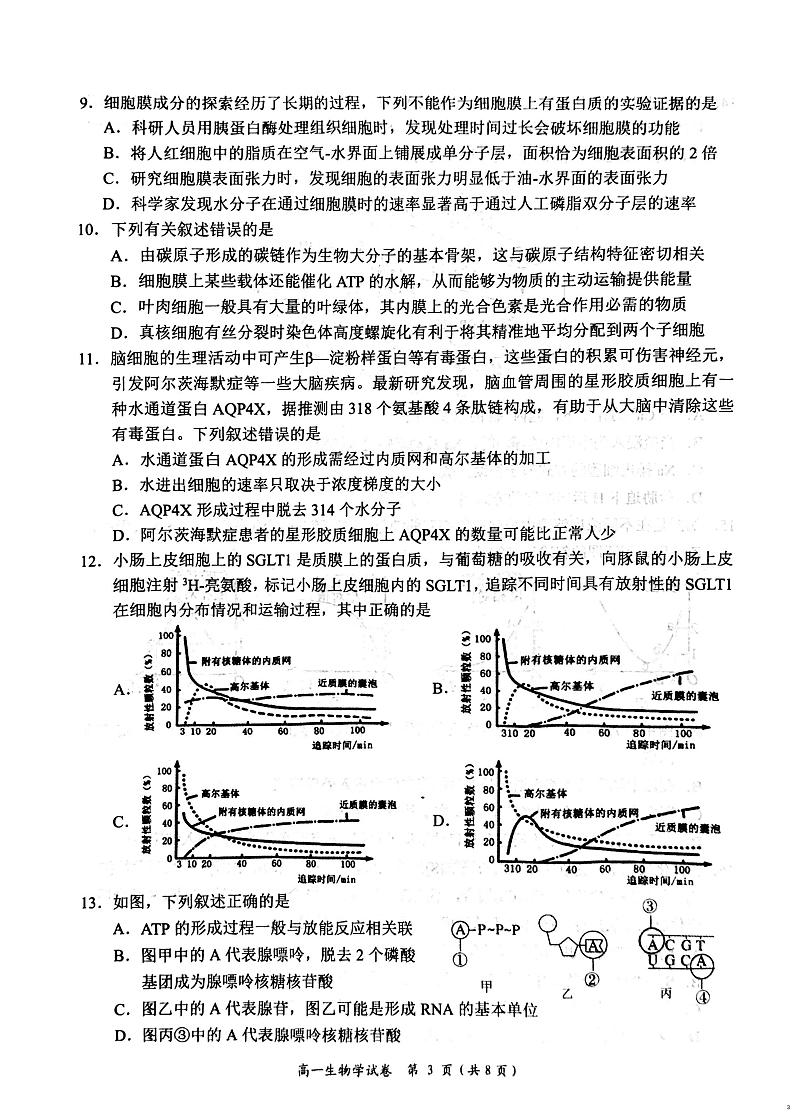 湖南省岳阳市2024—2025学年高一上学期期末考试生物试题第3页