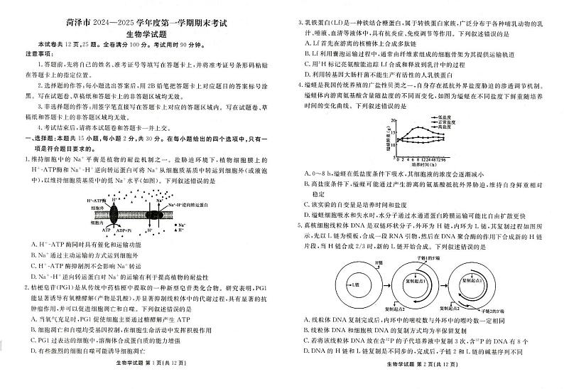 山东省菏泽市2024-2025学年高三上学期1月期末考试生物试题第1页