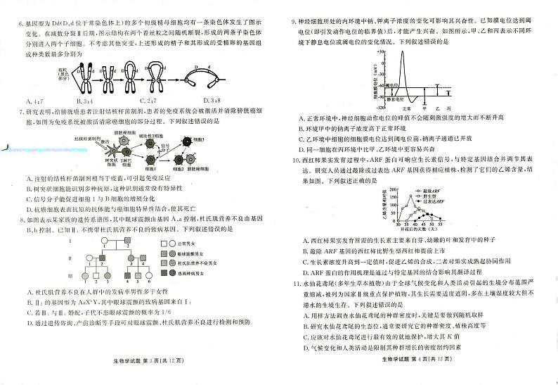 山东省菏泽市2024-2025学年高三上学期1月期末考试生物试题第2页