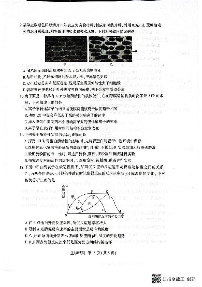 山东省临沂市2024-2025学年高一上学期期末考试生物试题第3页