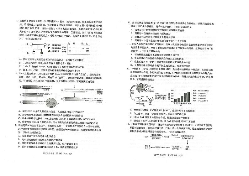 山东省青岛市四区2024-2025学年高三上学期期末生物试题第2页