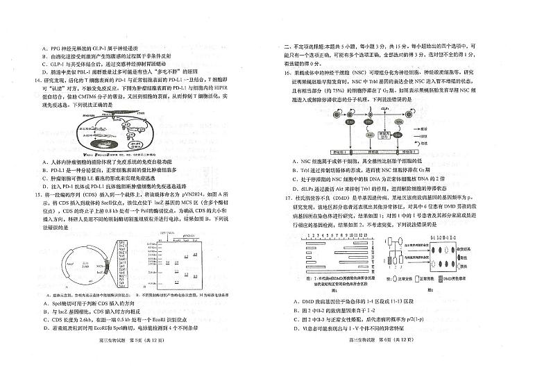 山东省青岛市四区2024-2025学年高三上学期期末生物试题第3页