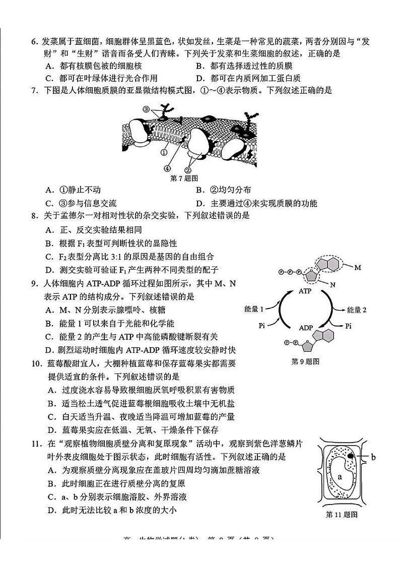 浙江省温州市2024-2025学年高一上学期期末教学质量统一检测生物试卷(A卷)第2页
