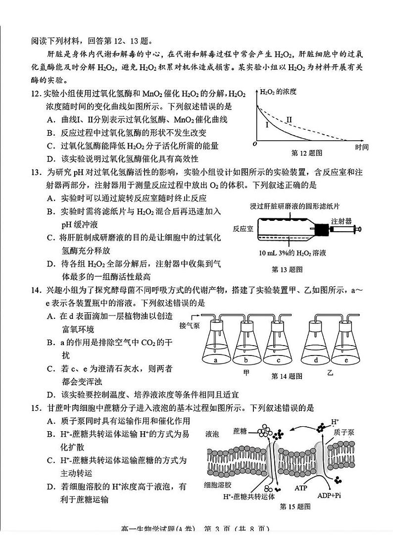 浙江省温州市2024-2025学年高一上学期期末教学质量统一检测生物试卷(A卷)第3页