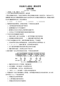 四川省眉山市2024-2025学年高一上学期1月期末联考试题 生物 Word版含答案