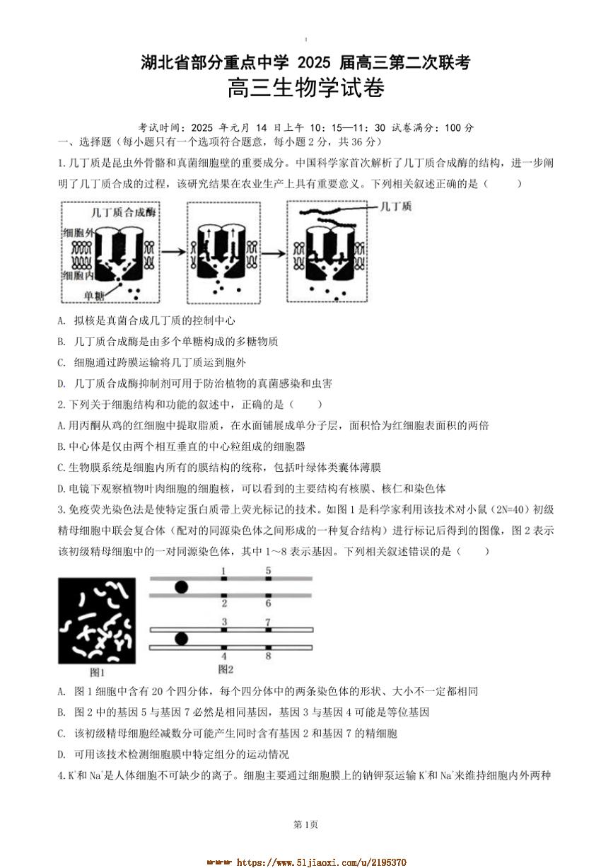 2024～2025学年湖北省重点中学高三上(二)联考(月考)(期末)生物试卷(含答案)