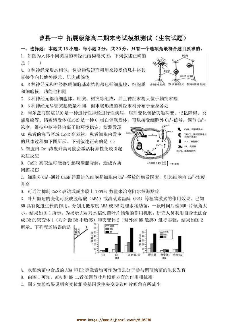 2024~2025学年山东省菏泽市曹县第一中学高二上期末模拟生物试卷(含答案)第1页