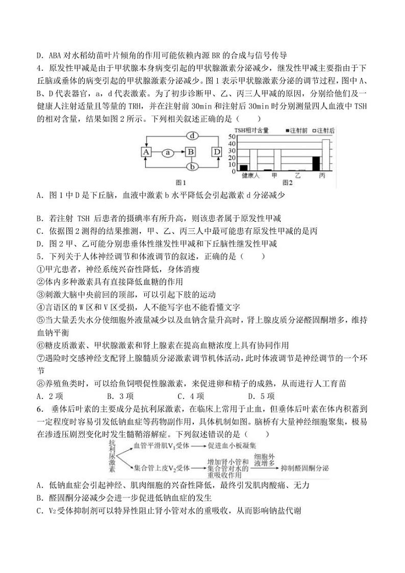 2024~2025学年山东省菏泽市曹县第一中学高二上期末模拟生物试卷(含答案)第2页