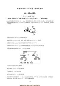 2024～2025学年河南省郑州市高二上期末考试生物试卷(含答案)