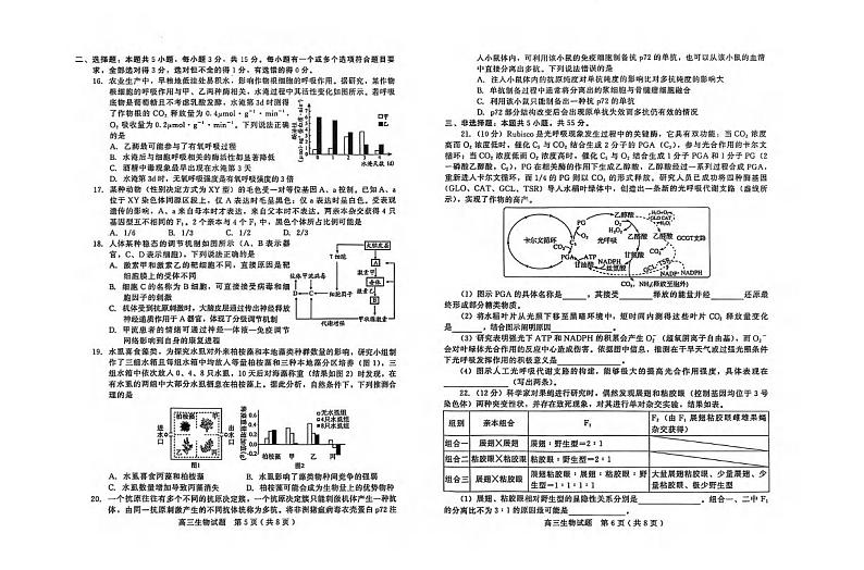 生物丨山东省潍坊市、临沂市2025届高三1月期末质量检测生物试卷及答案第3页