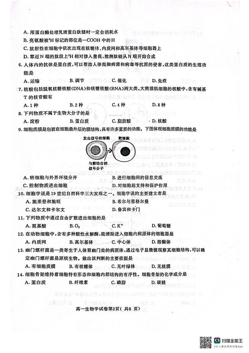 江苏省南京市2024-2025学年高一上学期1月期末学情调研测试生物试题第2页