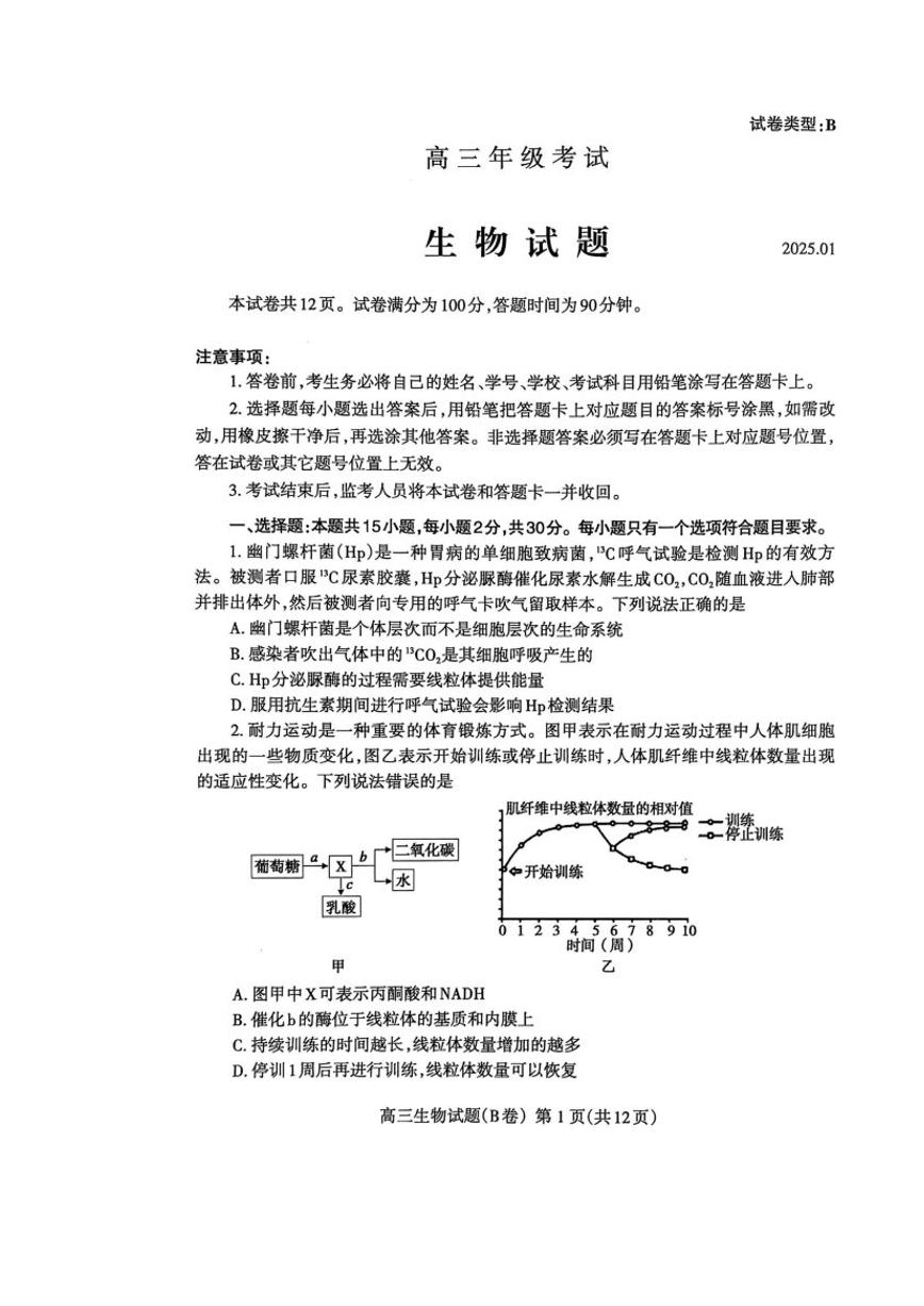 山东省泰安市2025届高三上学期1月期末考试 生物 PDF版含答案