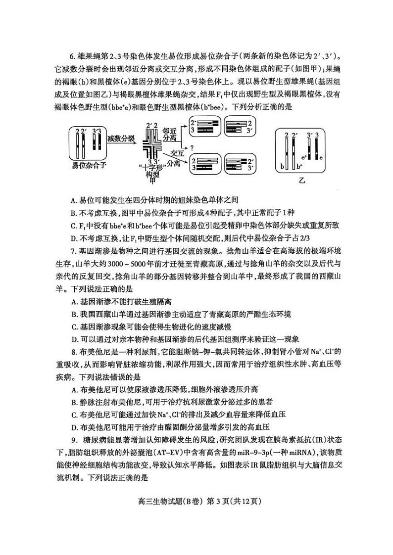 山东省泰安市2025届高三上学期1月期末考试 生物 PDF版含答案第3页