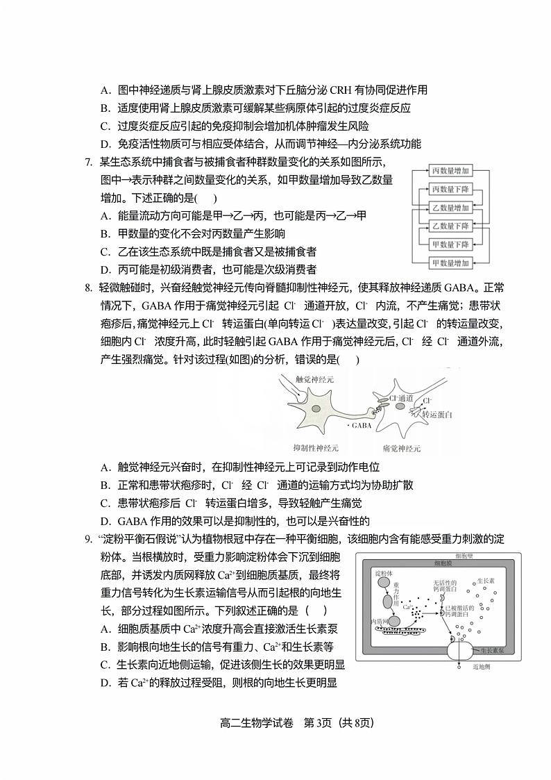 天津市河东区2024-2025学年高二上学期1月期末考试 生物 PDF版含答案第3页