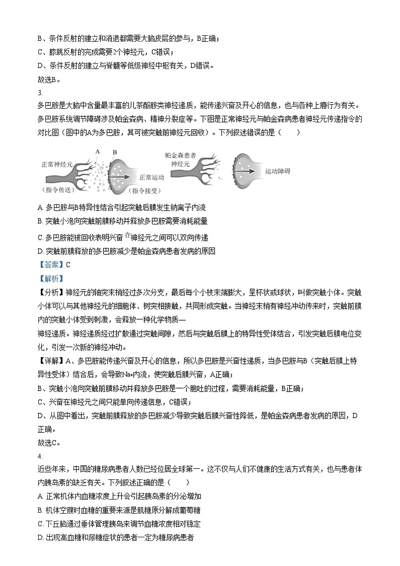 安徽省阜阳市临泉县田家炳实验中学2024-2025学年高三上学期12月月考生物试题 Word版含解析第2页