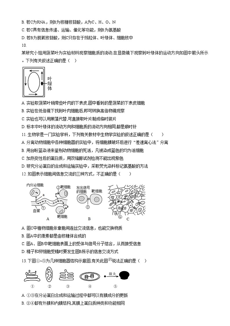 安徽省淮南第三中学2024-2025学年高一上学期第二次段考生物试题 Word版无答案第3页