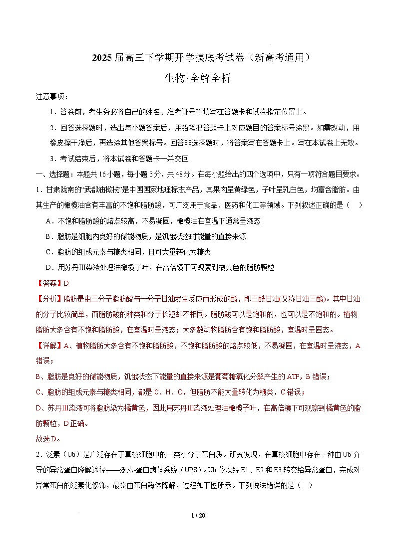 【开学摸底考】高三生物开学摸底考01(新高考通用,)-2024-2025学年高中下学期开学摸底考试卷 01(全解全析)第1页