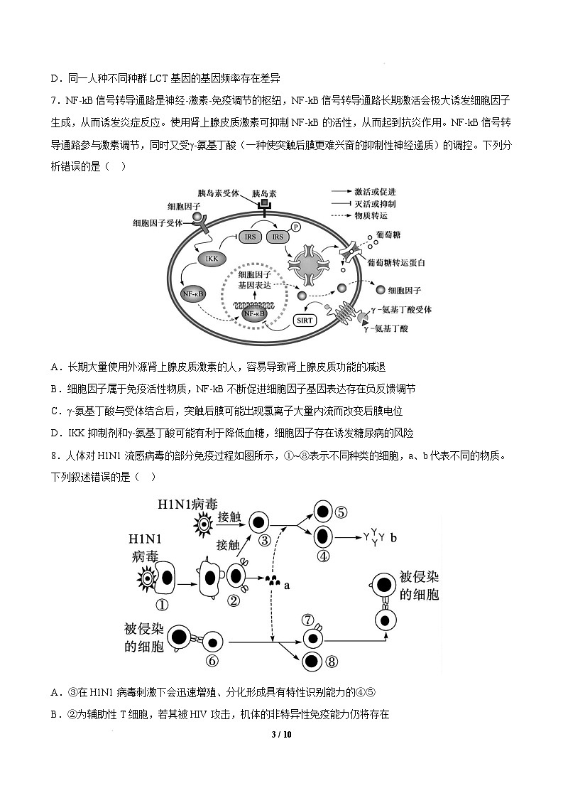 【开学摸底考】高三生物开学摸底考01(新高考通用,)-2024-2025学年高中下学期开学摸底考试卷 01(考试版)第3页