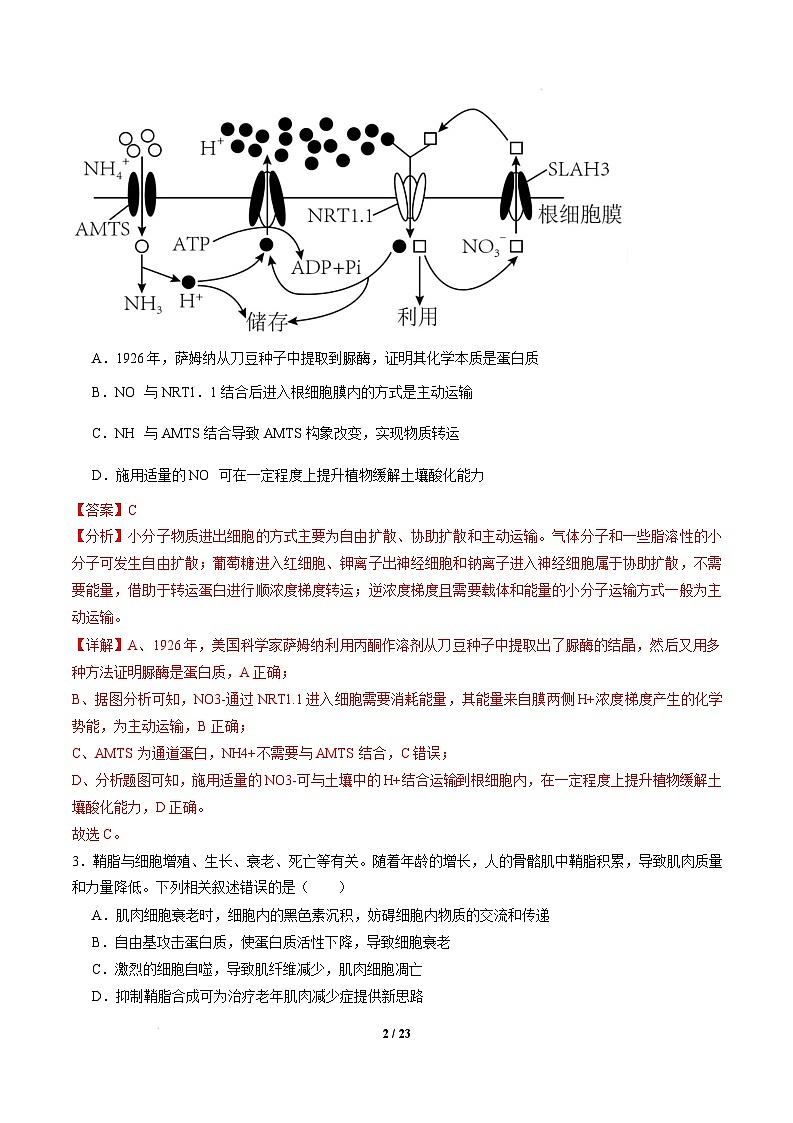 【开学摸底考】高三生物开学摸底考(江苏专用)-2024-2025学年高中下学期开学摸底考试卷 (全解全析)第2页