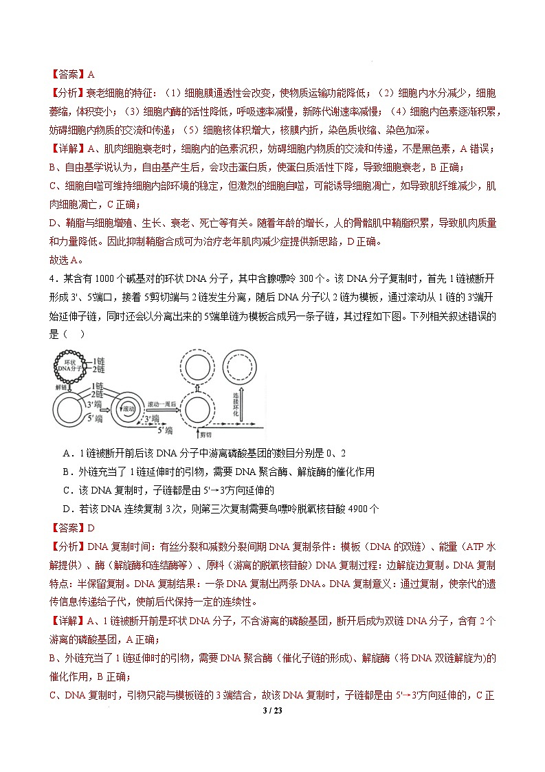 【开学摸底考】高三生物开学摸底考(江苏专用)-2024-2025学年高中下学期开学摸底考试卷 (全解全析)第3页