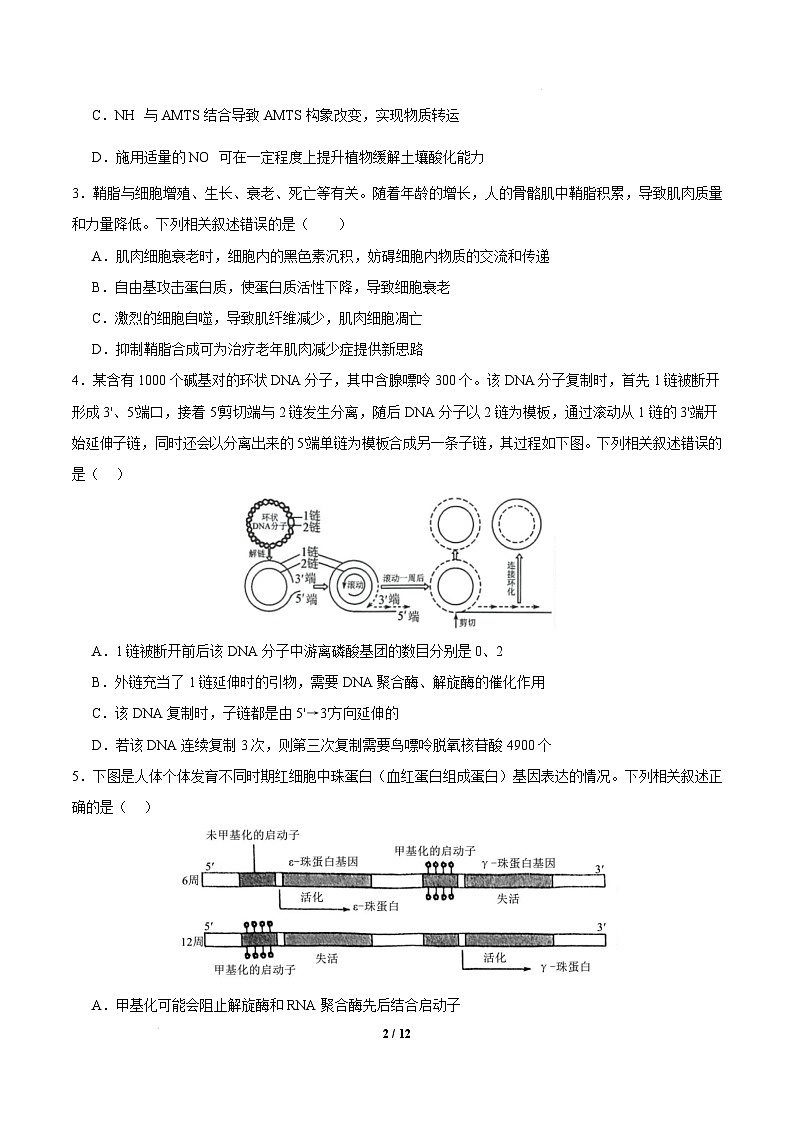 【开学摸底考】高三生物开学摸底考(江苏专用)-2024-2025学年高中下学期开学摸底考试卷 (考试版)第2页